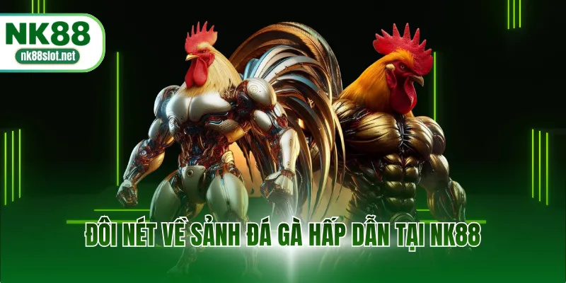 Đôi nét về sảnh đá gà hấp dẫn tại NK88