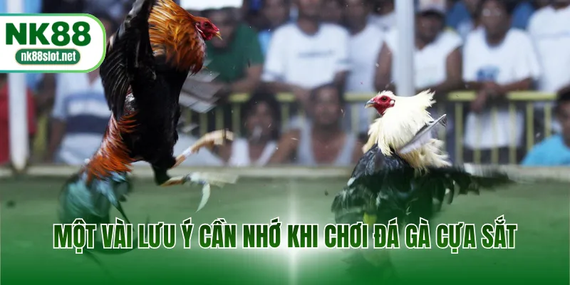 Một vài lưu ý cần nhớ khi chơi đá gà cựa sắt