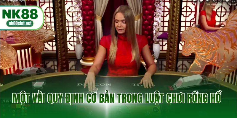 Một vài quy định cơ bản trong luật chơi rồng hổ