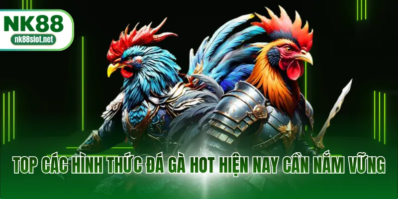 Top các hình thức đá gà hot hiện nay cần nắm vững